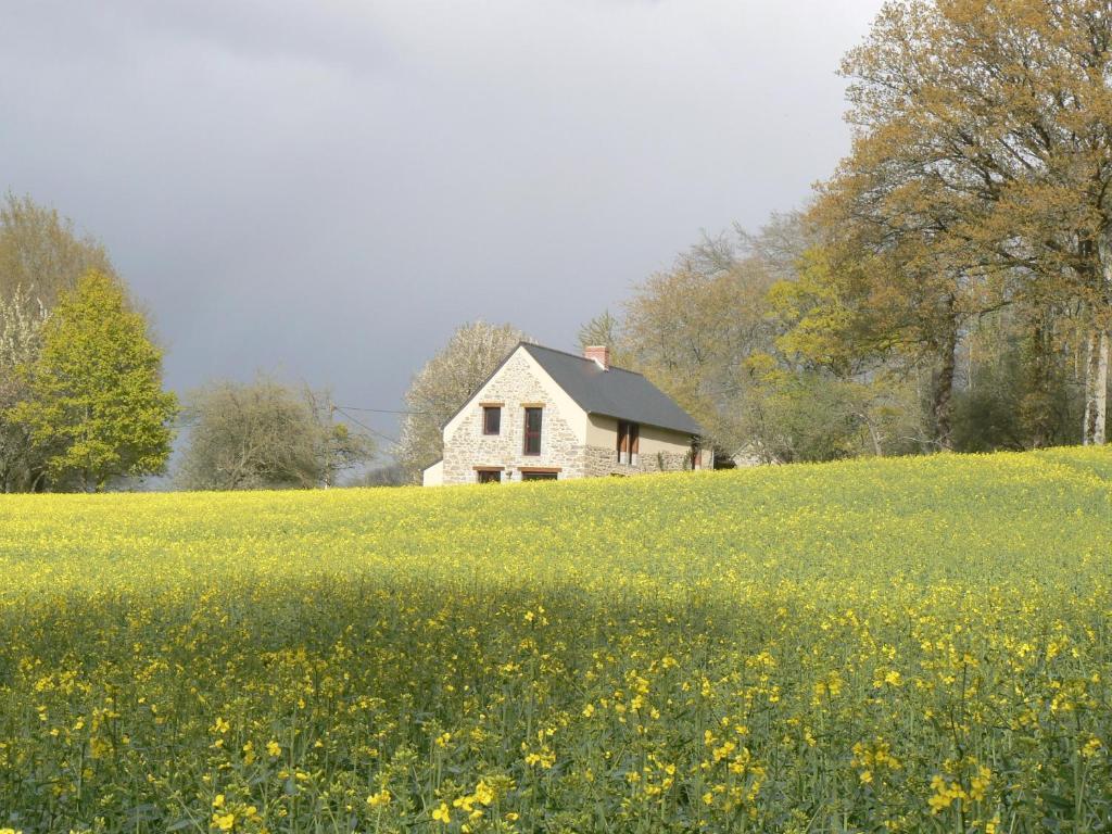 Chambres D'Hotes Du Vault Picot La Chapelle-aux-Filzméens Buitenkant foto